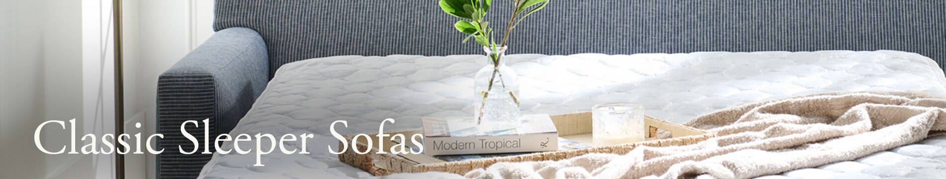 Sleeper Sofas Header Image with Text